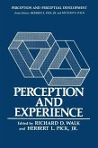 Perception and Experience (eBook, PDF)