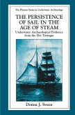 The Persistence of Sail in the Age of Steam (eBook, PDF)