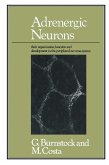 Adrenergic Neurons (eBook, PDF)