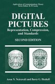 Digital Pictures (eBook, PDF)