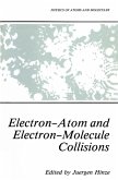 Electron-Atom and Electron-Molecule Collisions (eBook, PDF)