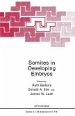 Somites in Developing Embryos (eBook, PDF)