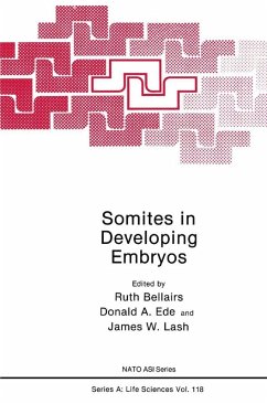 Cover Somites in Developing Embryos (eBook, PDF)