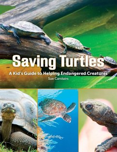Saving Turtles (eBook, ePUB) - Carstairs, Sue