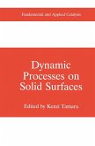 Dynamic Processes on Solid Surfaces (eBook, PDF)