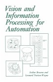 Vision and Information Processing for Automation (eBook, PDF)