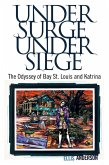 Under Surge, Under Siege (eBook, ePUB)