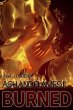Burned (Ash and Flames, #2) (eBook,... - Bild 1