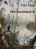 Old Surehand III (eBook, ePUB)