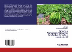 Growing Watermelon(Citrullus lanatus)under saline environment - Ali, Mujahid;Ayyub, C. M.;Shaheen, Muhammad Rashid