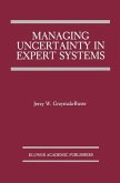 Managing Uncertainty in Expert Systems (eBook, PDF)