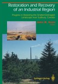 Restoration and Recovery of an Industrial Region (eBook, PDF)