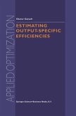 Estimating Output-Specific Efficiencies (eBook, PDF)