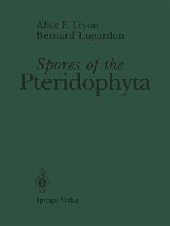 Cover Spores of the Pteridophyta (eBook, PDF)