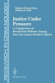 Justice Under Pressure (eBook, PDF)