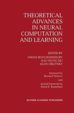 Theoretical Advances in Neural Computation and Learning (eBook, PDF)