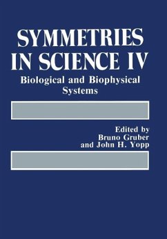 Cover Symmetries in Science IV (eBook, PDF)