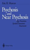 Psychosis and Near Psychosis (eBook, PDF) Psychosis and Near Psychosis (eBook, PDF)