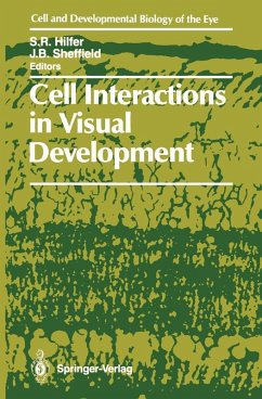 Cell Interactions in Visual Development (eBook, PDF)