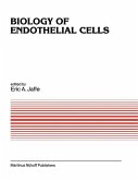 Biology of Endothelial Cells (eBook, PDF)