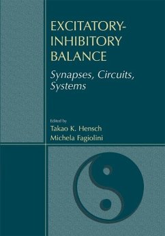 Cover Excitatory-Inhibitory Balance (eBook, PDF)