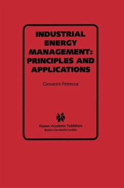 Cover Industrial Energy Management: Principles and Applications (eBook, PDF)