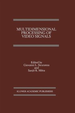 Multidimensional Processing of Video Signals (eBook, PDF)