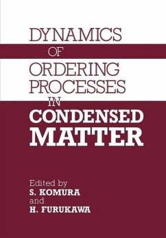 Dynamics of Ordering Processes in Condensed Matter (eBook, PDF) - Komura, S.