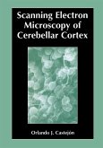 Scanning Electron Microscopy of Cerebellar Cortex (eBook, PDF)