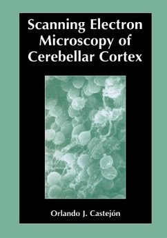 Scanning Electron Microscopy of Cerebellar Cortex (eBook, PDF) - Castejón, Orlando
