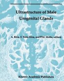 Ultrastructure of the Male Urogenital Glands (eBook, PDF)