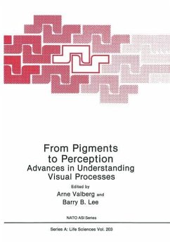 From Pigments to Perception (eBook, PDF)