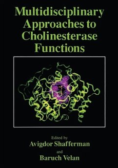 Multidisciplinary Approaches to Cholinesterase Functions (eBook, PDF)