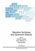 Random Surfaces and Quantum Gravity (eBook, PDF)