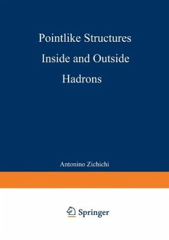 Pointlike Structures Inside and Outside Hadrons (eBook, PDF)