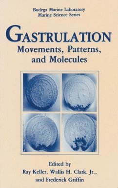 Cover Gastrulation (eBook, PDF)