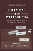 Dilemmas of the Welfare Mix (eBook, PDF)