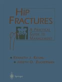 Hip Fractures (eBook, PDF)