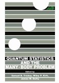 Quantum Statistics and the Many-Body Problem (eBook, PDF)