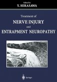 Treatment of Nerve Injury and Entrapment Neuropathy (eBook, PDF)