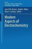 Modern Aspects of Electrochemistry No. 20 (eBook, PDF)
