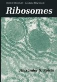 Ribosomes (eBook, PDF)