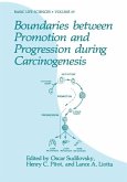 Boundaries between Promotion and Progression during Carcinogenesis (eBook, PDF)