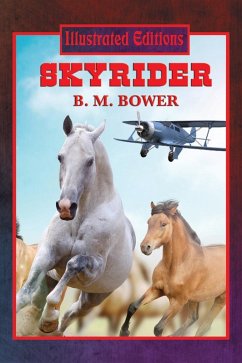 Cover Skyrider (Illustrated Edition) (eBook, ePUB)