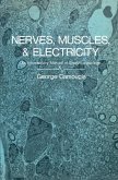 Nerves, Muscles, and Electricity: An Introductory Manual of Electrophysiology (eBook, PDF)