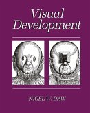Visual Development (eBook, PDF)
