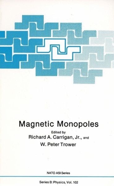 Magnetic Monopoles (eBook, PDF)