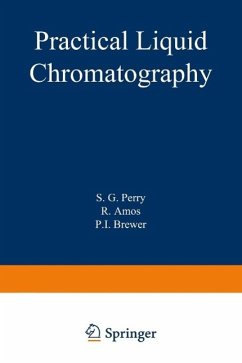 Practical Liquid Chromatography (eBook, PDF) - Perry, S.