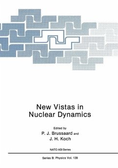 New Vistas in Nuclear Dynamics (eBook, PDF) - Brussaard, P. J.; Koch, J. H.