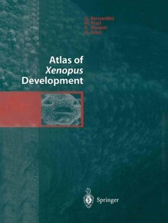 Atlas of Xenopus Development (eBook, PDF) - Bernardini, G.; Prati, M.; Bonetti, E.; Scari, G.